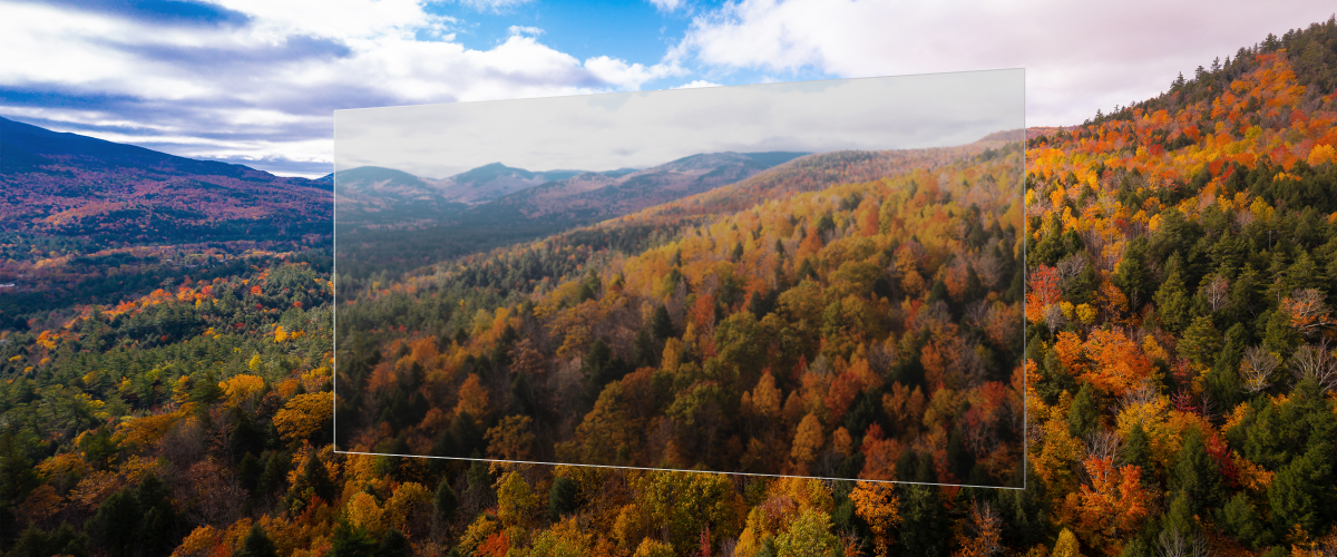 The image shows a transparent display floating above a mountainous landscape with a colorful autumn forest and blue sky, but the display is blurry due to the lack of tandem OLED technology.