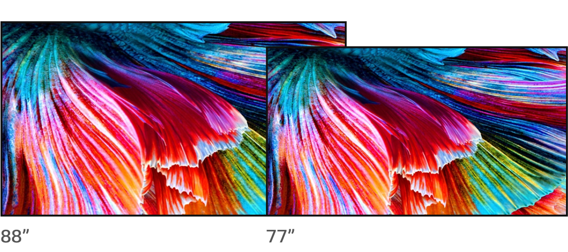 핑크와 푸른 계열의 꽃송이를 88인치와 77인치의 OLED TV로 보여준다.