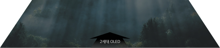 2세대 OLED 패널